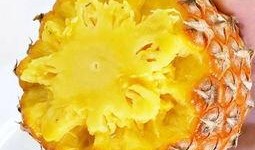 抖音网红来吃菠萝吃瓜,菠萝瓜果盛宴，味蕾狂欢大揭秘